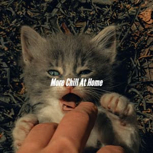 More Chill At Home - French Cafe Jazz