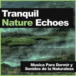 Tranquil Nature Echoes - Musica Para Dormir y Sonidos de la Naturaleza