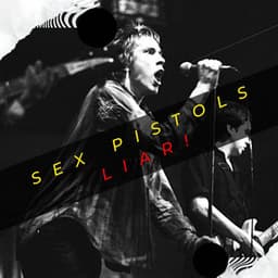 In Concert - Sex Pistols