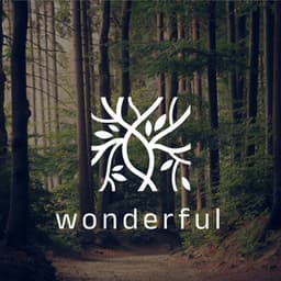 wonderful - halley Green