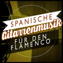 Spanische Gitarrenmusik Für Den Flamenco - Spanische Gitarre