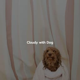 Cloudy with Dog - Eccezionale Jazz Rilassante