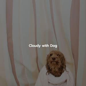 Cloudy with Dog - Eccezionale Jazz Rilassante