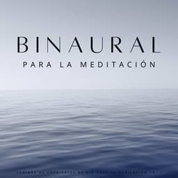 Binaural: Sonidos De Corrientes De Río Para La Meditación Vol.1 - The Unexplainable Store