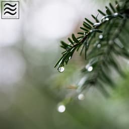 Celestial Restful Noises of Tibetan Music - Celestial Meditation Master