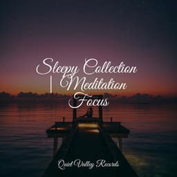 Sleepy Collection | Meditation Focus - Chakra Balancing Sound Therapy