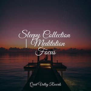 Sleepy Collection | Meditation Focus - Chakra Balancing Sound Therapy