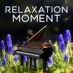 Relaxation Moment – Music for Relax, Peaceful Meditation, Classical Chillout - Classical Sleep Music
