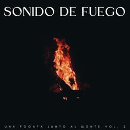 Sonido De Fuego: Una Fogata Junto Al Monte Vol. 2 - Ruidos de la Selva