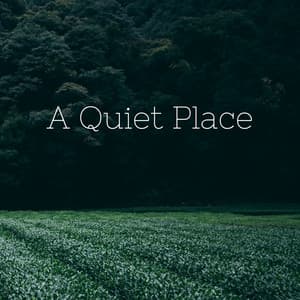 A Quiet Place - Ambientalism