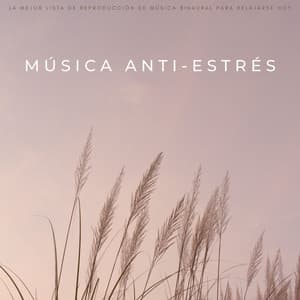 Música Anti-Estrés: La Mejor Lista De Reproducción De Música Binaural Para Relajarse Hoy - Música Para Aliviar El Estrés