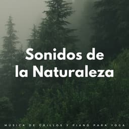 Sonidos De La Naturaleza: Música De Grillos Y Piano Para Yoga - Grabaciones relajantes de la Naturaleza
