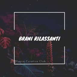 Brani rilassanti: Il potere della musica terapeutica - Musica Curativa Club