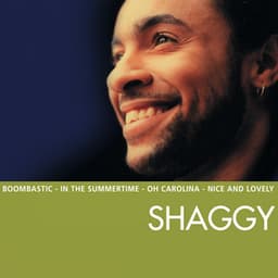 Essential - Shaggy