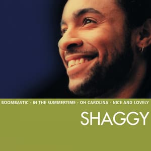 Essential - Shaggy