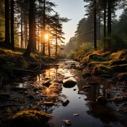 Ritmos De Cascadas: Música Para La Tranquilidad Reconfortante - Naturaleza y Sonidos Fondos