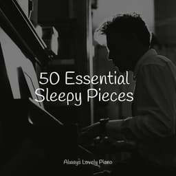 50 Essential Sleepy Pieces - Restaurant Background Music