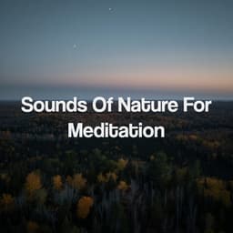 Sounds Of Nature For Meditation - Deep Sleep