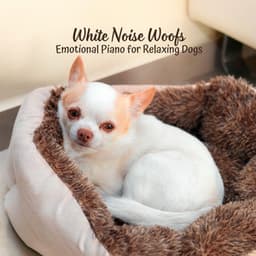 White Noise Woofs: Emotional Piano for Relaxing Dogs - White Noise Healing Method