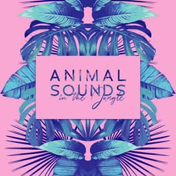 Animal Sounds in the Jungle: Wildlife Music to Restore Your Balance and Inner Energy. Nature Therapy Zone - Harmony Nature Sounds Academy