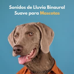 Sonidos De Lluvia Binaural Suave Para Mascotas - Sueño binaural Delta Beats