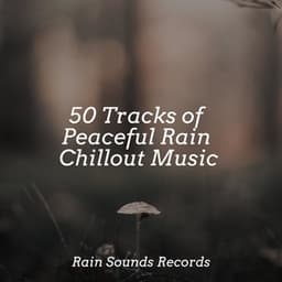 50 Tracks of Peaceful Rain Chillout Music - Nature Sounds