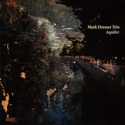 Aquifer - Mark Dresser Trio