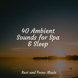 40 Ambient Sounds for Spa & Sleep - Sleep Songs 101
