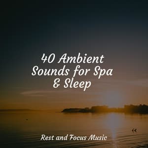 40 Ambient Sounds for Spa & Sleep - Sleep Songs 101