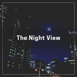The Night View - Calm Music for Studying