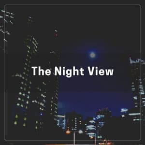 The Night View - Calm Music for Studying