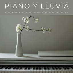 Piano Y Lluvia: Relajante Música De Lluvia Para Sentirse Pleno - Thiago Mascotas