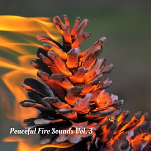 Peaceful Fire Sounds Vol. 3 - Relaxing Radiance