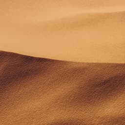 01 Noise Machine: Equanimity - White Noise Therapy