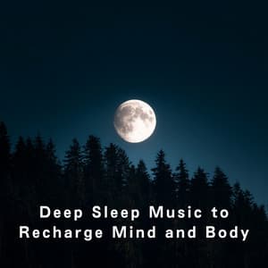Deep Sleep Music to Recharge Mind and Body - Dream House