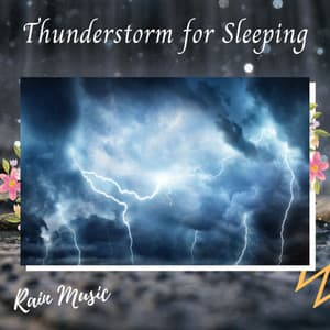 Rain Music: Thunderstorm for Sleeping - Rain Hive