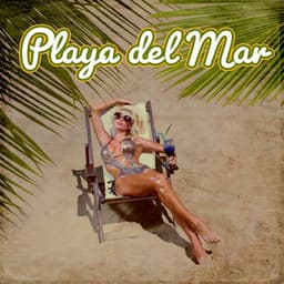Playa del Mar: Relaxing House, Summer Cocktail Bar Music, Lounge Café and Chill Out - DJ Tzi-tzi