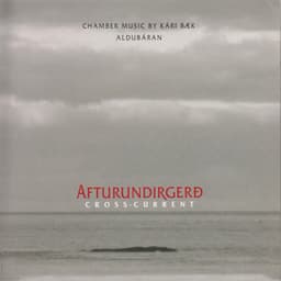 Afturundirgerð - Kári Bæk