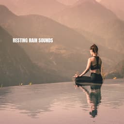 Resting Rain Sounds - Rain Sounds & White Noise