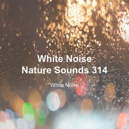 White Noise 314 - White Noise