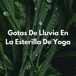 Gotas De Lluvia En La Esterilla De Yoga - Registradores de lluvia