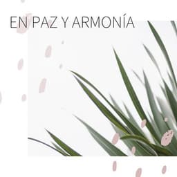 En Paz y Armonía: 20 Canciones para el Equilibrio y la Relajación Mental y Corporal - Serenidad Alves