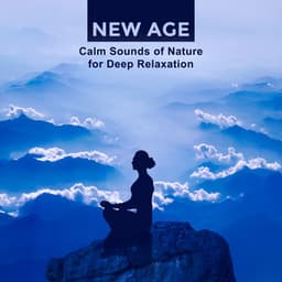 New Age: Calm Sounds of Nature for Deep Relaxation, Spirituality & Music for Mental Health, Sleep & Reiki Zen Meditation - Garden Music Academy