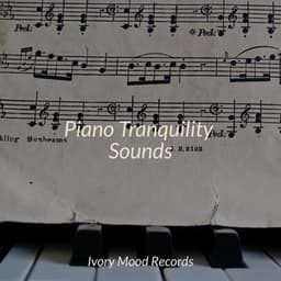 Piano Tranquility Sounds - Ivory Mood