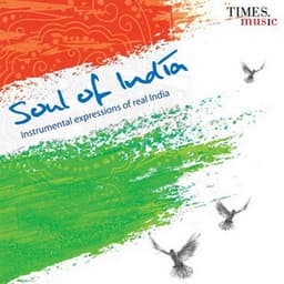 Soul of India - Ashit Desai