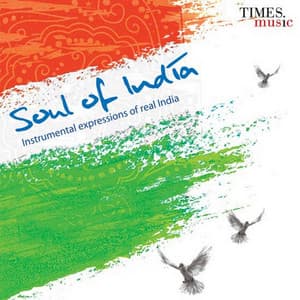 Soul of India - Ashit Desai