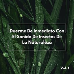 Duerme De Inmediato Con El Sonido De Insectos De La Naturaleza Vol. 1 - Vibraciones de la Naturaleza