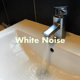 Around the House - White Noise Collectors