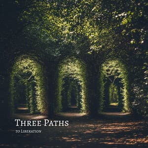 Three Paths to Liberation - Hindi Vibe