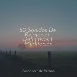 50 Sonidos De Relajación Definitivos | Meditación - Guided Meditation
